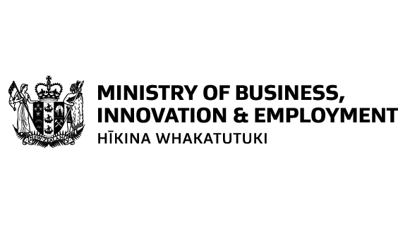 AI Pilot Delivery Partner